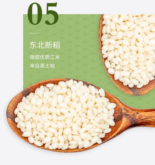 言禮嘉興粽子 潤香豆沙粽120g 2只新鮮甜味粽真空包裝即食早餐食品 端午節浙江特產